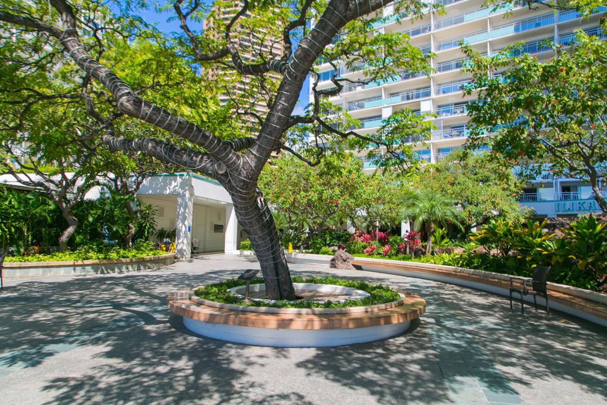 Ilikai Tower 1403 City View 1Br Honolulu Exterior foto